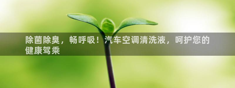 尊龙集团官网：除菌除臭，畅呼吸！汽车空调清洗液，呵护您的