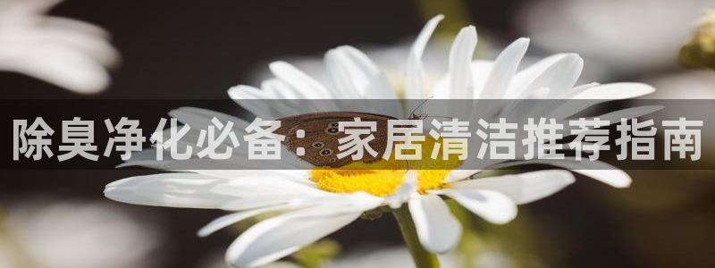 尊龙服饰品牌介绍：除臭净化必备：家居清洁推荐指南