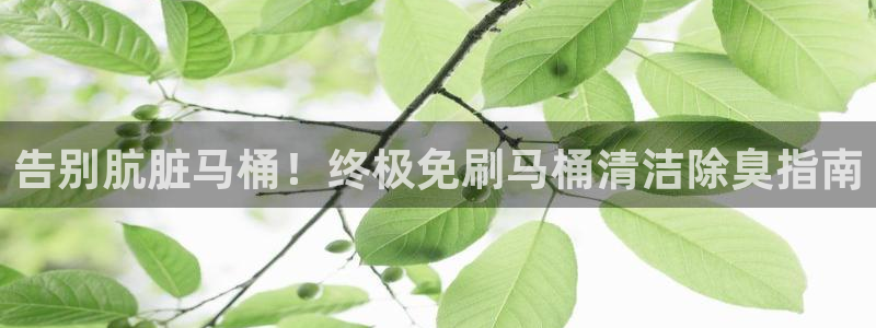 尊龙物流怎么样：告别肮脏马桶！终极免刷马桶清洁除臭指南