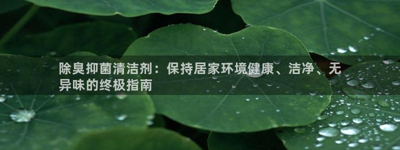 尊龙凯时app官方网站：除臭抑菌清洁剂：保持居家环境健康