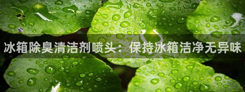 凯时登录平台去AG发财网：冰箱除臭清洁剂喷头：保持冰箱洁