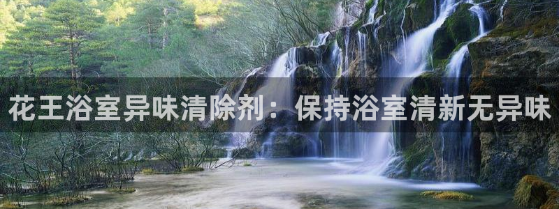 凯时国际app首页登录：花王浴室异味清除剂：保持浴室清新