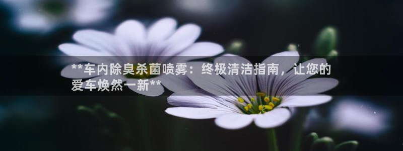 尊龙一人生就是搏：**车内除臭杀菌喷雾：终极清洁指南，让