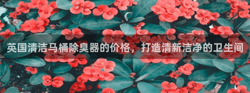 尊龙人生就是博客服：英国清洁马桶除臭器的价格，打造清新洁