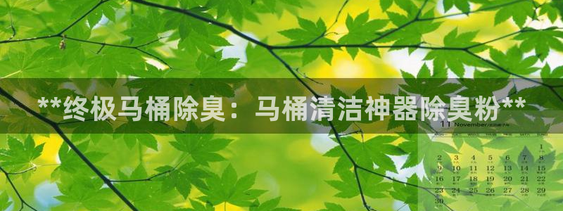 凯时最新官方APP下载：**终极马桶除臭：马桶清洁神器除